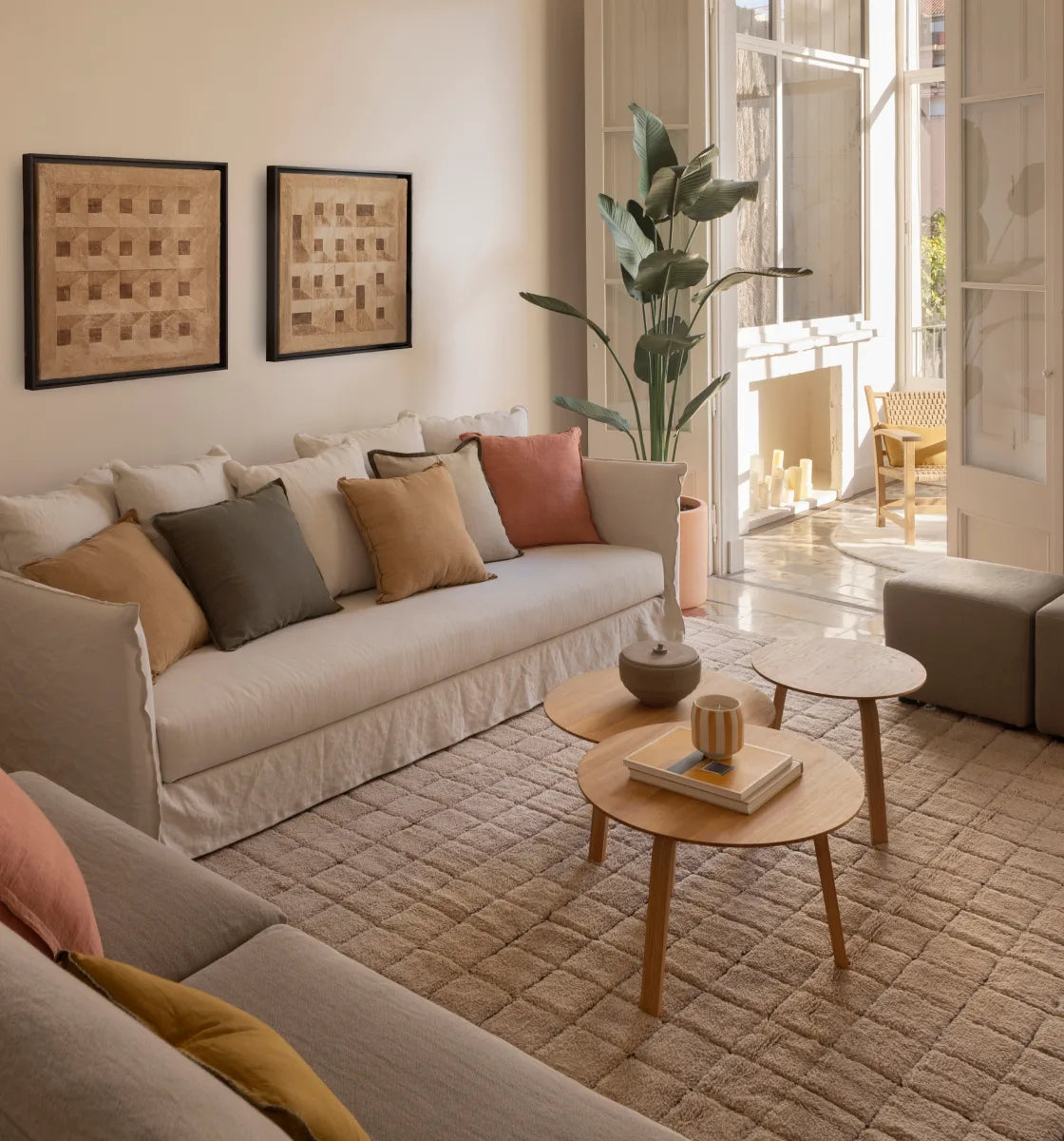 Living room rugs