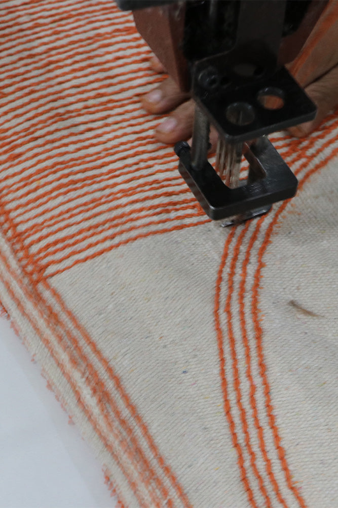 WASHABLE RUG ILUSION LENS