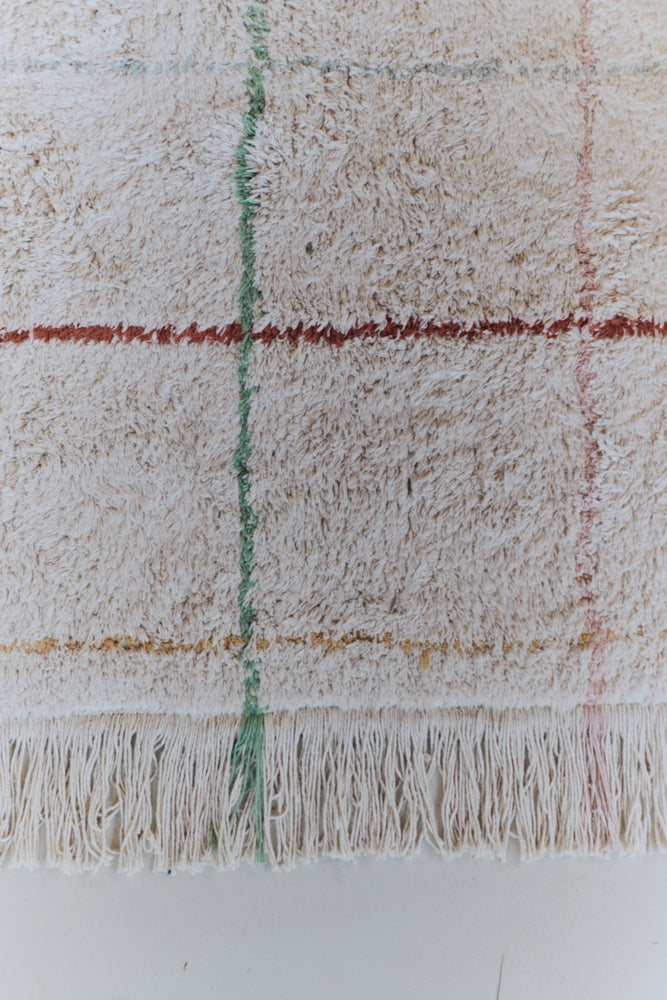 WASHABLE AREA RUG COLOR LINES