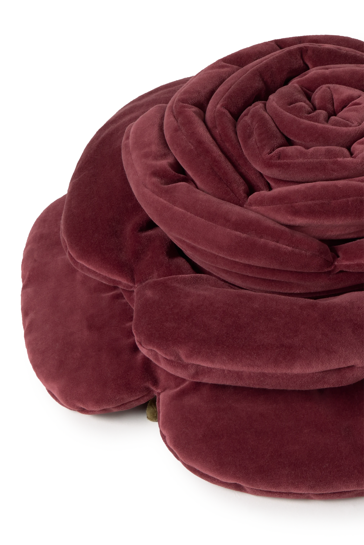 CUSHION ROSE