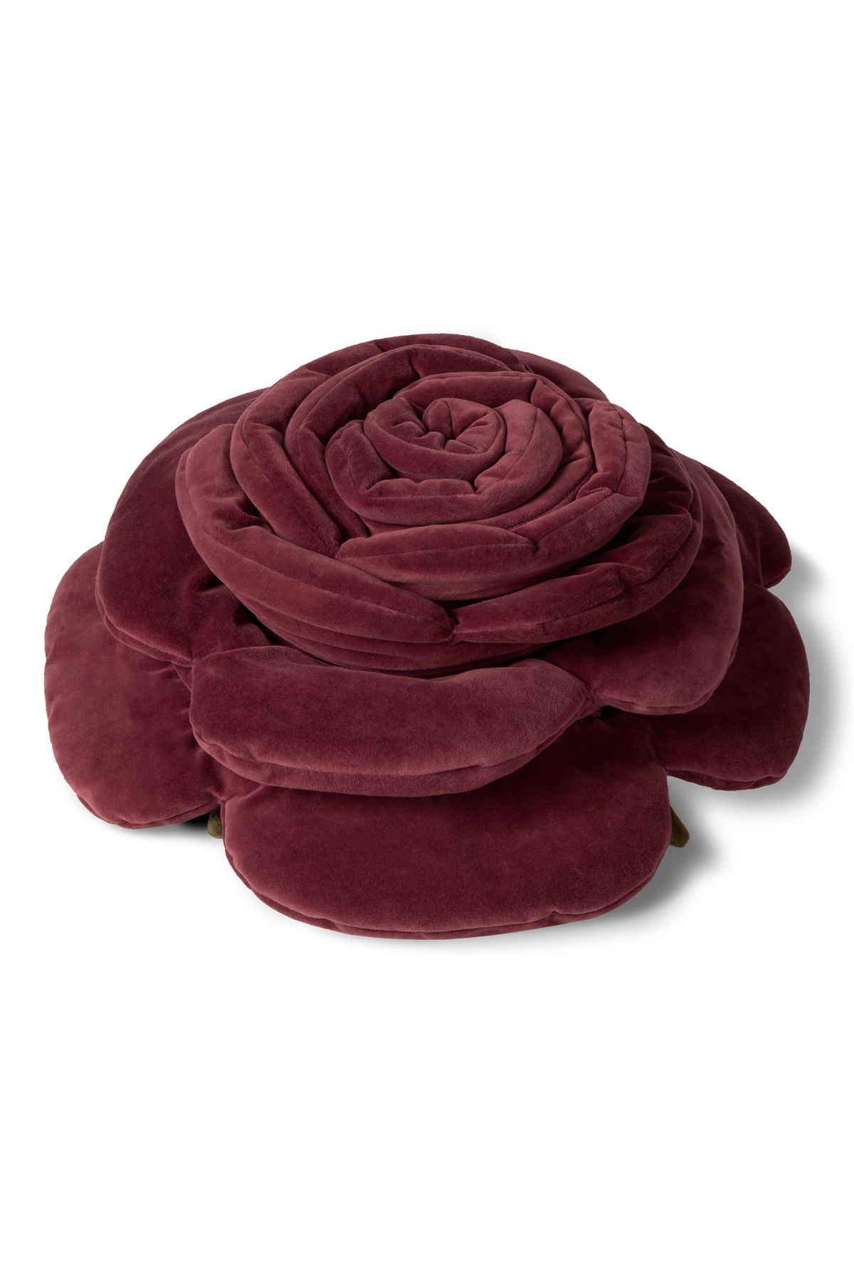 Cushion Rose