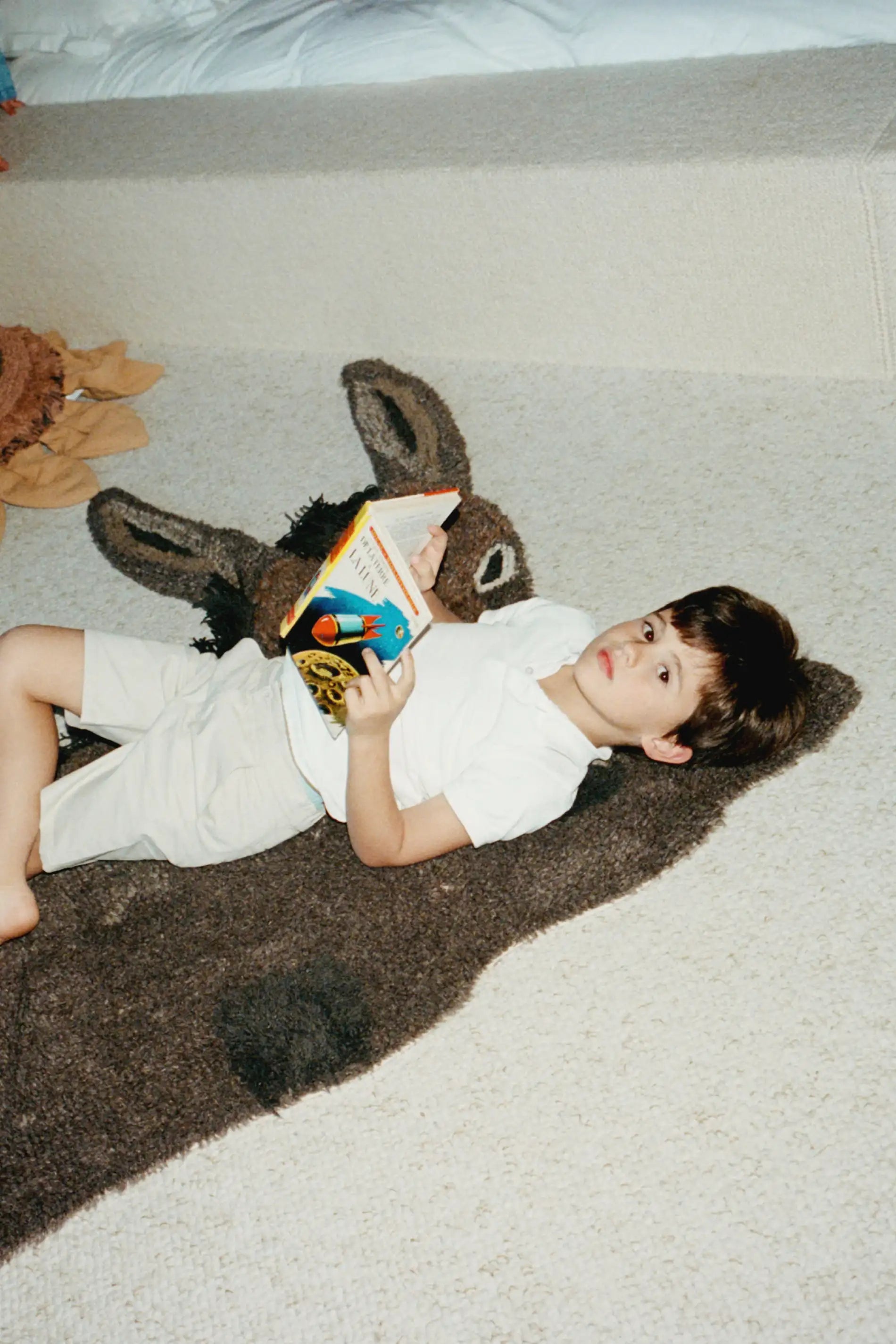 HECTOR THE DONKEY RUG