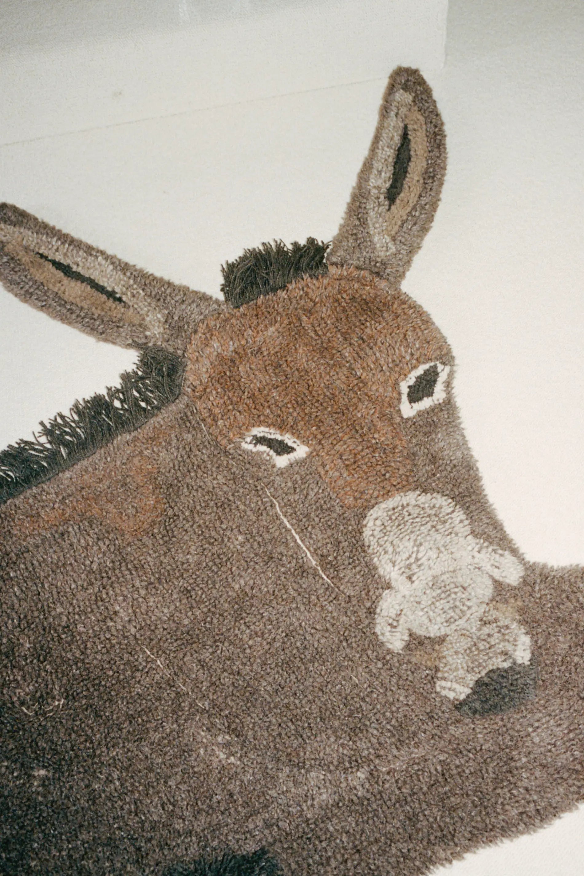 HECTOR THE DONKEY RUG