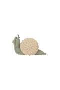 Basket Mini Snail