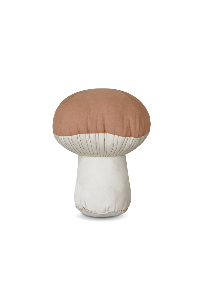CUSHION BOLETUS