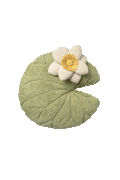 FLOOR CUSHION WATER LILY
