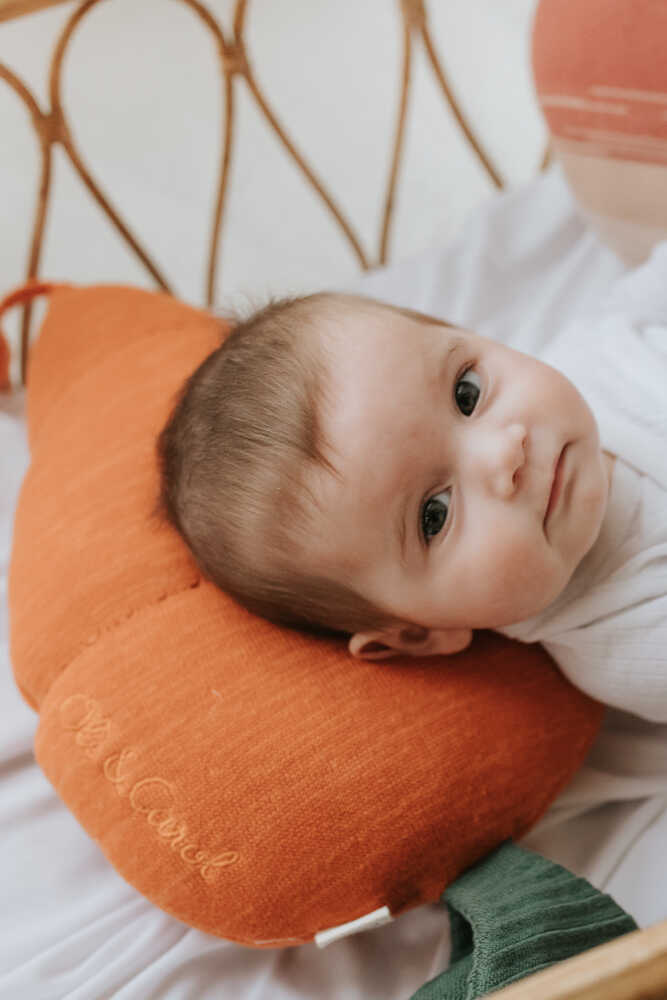 Knitted Cushion Cathy The Carrot – Lorena Canals | Official Website