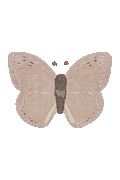 WASHABLE ANIMAL COTTON RUG BABY BUTTERFLY