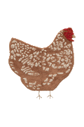 WASHABLE ANIMAL RUG CHICKEN