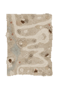 WASHABLE PLAY RUG PATH OF NATURE