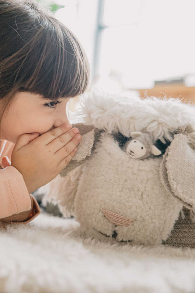 Woolable Basket Pink Nose Sheep – Lorena Canals | Official Website