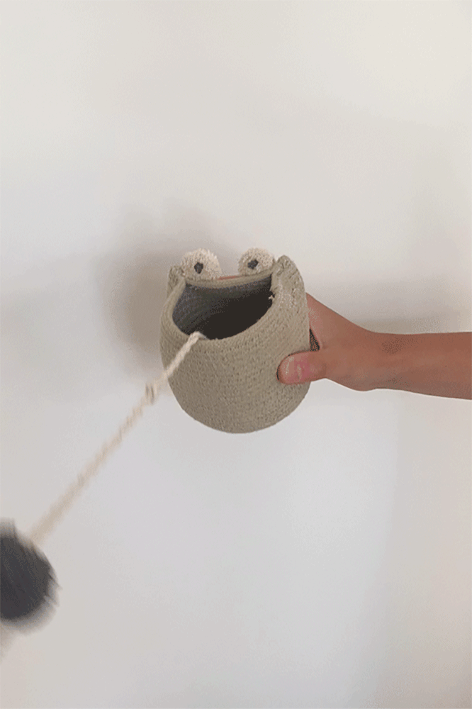 CUP & BALL TOY BABY FROG